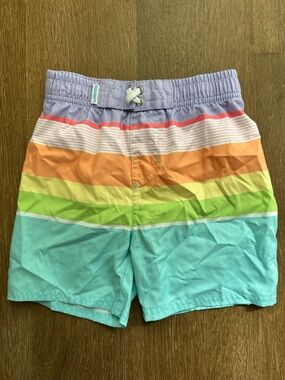 🌊 Rugged Butts Bright Neon Pastel Striped Boys’ Swim Trunks | Size 5